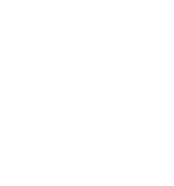 Orto Hin